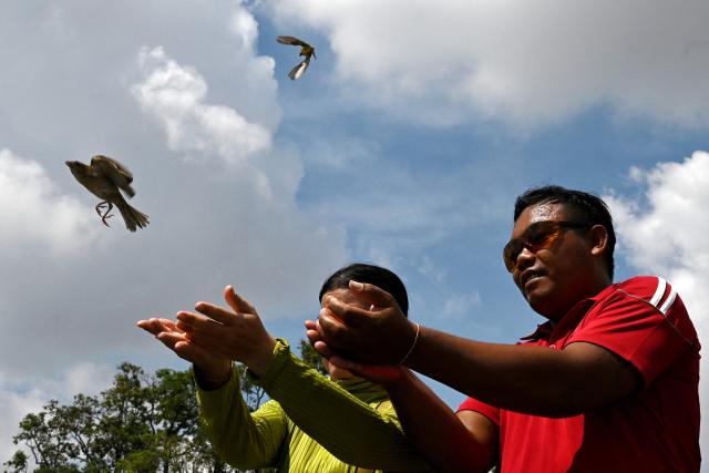 A couple releases birds as they pray at a shrine during the Visak Bochea Buddhist celebration in Phnom Penh on May 11, 2025. Buddhists commemorate the birth of Buddha, his attaining enlightenment and death on the day of the full moon in the month of May, which falls on May 11 this year. (Photo by TANG CHHIN Sothy / AFP)