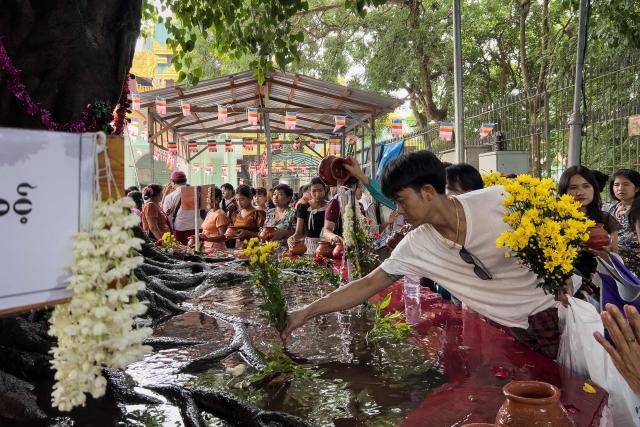 Devotees pour water on a revered Bodhi tree at Shwedagon Pagoda to mark Buddha's Birthday, which falls on the Full Moon Day of Kasone, in Yangon on May 11, 2025. (Photo by Sai Aung MAIN / AFP)