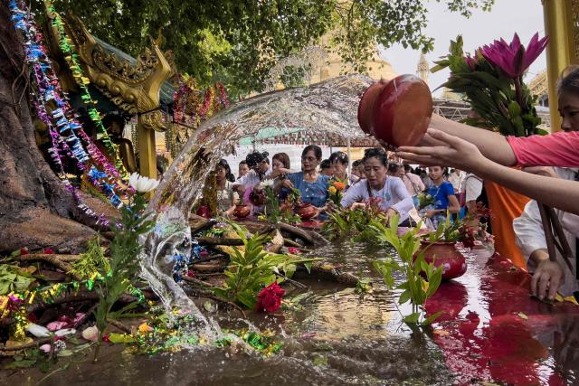 TOPSHOT - Devotees pour water on a revered Bodhi tree at Shwedagon Pagoda to mark Buddha's Birthday, which falls on the Full Moon Day of Kasone, in Yangon on May 11, 2025. (Photo by Sai Aung MAIN / AFP)