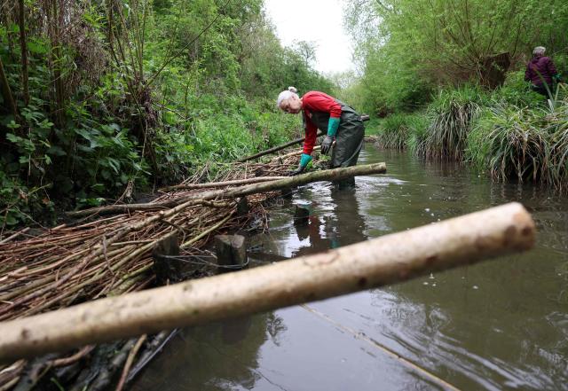 A volunteer constructs a natural flood management feature on the Saffron Brook in Leicester, central England on April 24, 2025. Leicester, like many other cities in the UK, has experienced several intense rainfall events in recent years, which have caused significant damage. Alert to climate change, which intensifies these events, authorities are strengthening their defences and turning to solutions more sympathetic with the environment. (Photo by Darren Staples / AFP) / TO GO WITH AFP STORY By Marie HEUCLIN