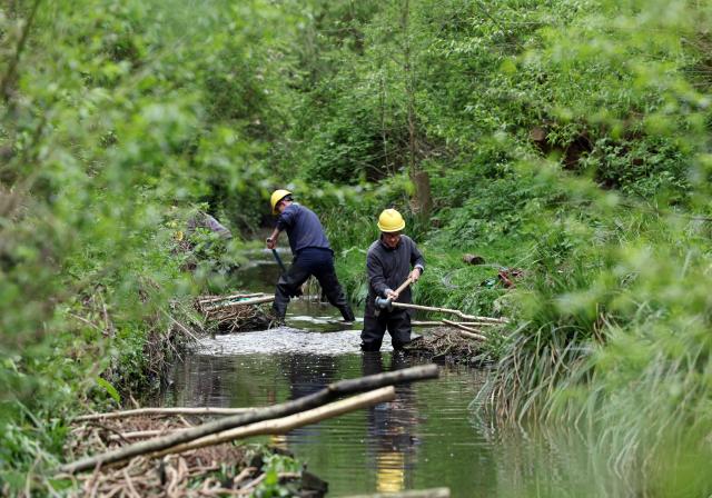 Volunteers construct natural flood management features on the Saffron Brook in Leicester, central England on April 24, 2025. Leicester, like many other cities in the UK, has experienced several intense rainfall events in recent years, which have caused significant damage. Alert to climate change, which intensifies these events, authorities are strengthening their defences and turning to solutions more sympathetic with the environment. (Photo by Darren Staples / AFP) / TO GO WITH AFP STORY By Marie HEUCLIN