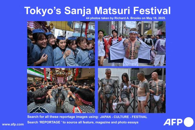 AFP presents a reportage of 44 photos by Richard A. Brooks of the annual Sanja Matsuri Festival in the Asakusa district of Tokyo on May 18, 2025. Thousands of people flocked to Tokyo's Asakusa district during the annual three-day-long festival, which heralds the coming of summer in the Japanese capital. Search all these images using JAPAN-CULTURE-FESTIVAL
Search "REPORTAGE" to source all feature, magazine and photo essays (Photo by Richard A. Brooks / AFP)
