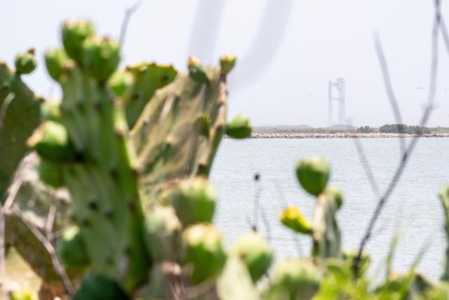 The SpaceX Starship rocket stands on the launchpad ahead of its scheduled launch from the SpaceX Starbase in Boca Chica as seen from South Padre Island, Texas on May 27, 2025. SpaceX said on My 23 it will make another launch attempt next week of the massive Starship rocket -- key to CEO Elon Musk's long-term vision of colonizing Mars -- after two consecutive in-flight explosions earlier this year. "The ninth flight test of Starship is preparing to launch as soon as Tuesday, May 27," the company said on its website, adding the launch window would open at 6:30 pm (2330 GMT) at its base in Texas. (Photo by Sergio FLORES / AFP)
