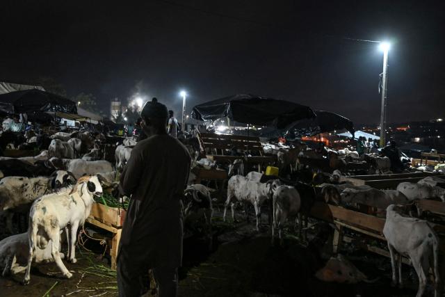 A general view of a market where sheep is sold in Abidjan on May 28, 2025 ahead of  Eid al-Adha, the Muslim feast of sacrifice. (Photo by Issouf SANOGO / AFP)