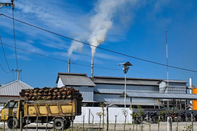 This picture taken on May 30, 2025 shows a truck waiting to unload palm oil seeds at a factory in Meulaboh, west coast of Aceh province. (Photo by CHAIDEER MAHYUDDIN / AFP)