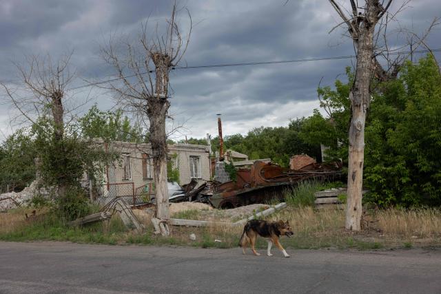 A stray dog walks past damaged houses in the city of Svyatohirs'k, Donetsk region on June 26, 2025, amid the Russian invasion of Ukraine. (Photo by Tetiana DZHAFAROVA / AFP)