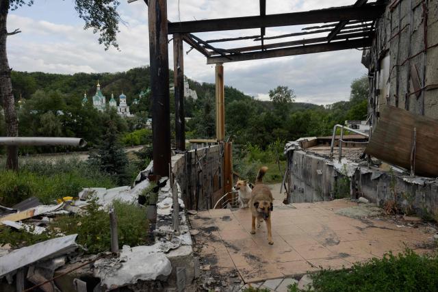 Stray dogs walking near the destroyed buildings in Svyatohirs'k, Donetsk region on June 26, 2025, amid the Russian invasion of Ukraine. (Photo by Tetiana DZHAFAROVA / AFP)
