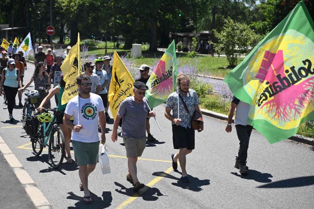 Protesters march with unions' flags during a protest against the so-called Duplomb agricultural bill, which aims to "remove constraints on the exercise" of their profession, particularly by easing access to pesticides" in Pau, south-western France, on June 28, 2025. (Photo by Gaizka IROZ / AFP)