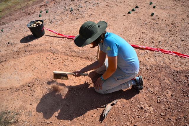 A person searches for dinosaur eggs at the Mount Sainte-Victoire site, near Aix-en-Provence in southern France, on June 25, 2025. Armed with a hand brush, a paleontologist meticulously inspects a mound of red clay at the foot of Mount Sainte-Victoire, in search of very specific fossils dating back some 75 million years: dinosaur eggs. (Photo by Christophe SIMON / AFP)