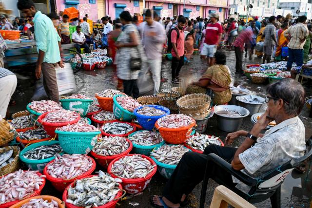 (FILES) People throng the Kasimedu fishing harbour in Chennai on June 23, 2024 as fishermen returned with their catch at the end of a 61-day fishing ban along India's eastern coast imposed to protect fish stocks during their breeding season. Indian exporters are anxiously eyeing the possible reintroduction of Donald Trump's punishing tariffs on the second week of July 2025, though many hold out hope for a last-minute reprieve. The US president's April 2 "Liberation Day" announcement of swingeing levies on dozens of key trading partners sent shockwaves through capitals before he announced a pause for negotiations, which ends on July 9, 2025. New Delhi and Washington have been locked in multiple rounds of talks, with hopes for an interim pact to avert the 26 percent "reciprocal" tolls meted out to India. (Photo by R. Satish BABU / AFP)