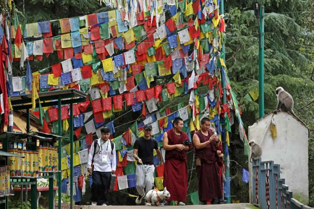 Tibetan monks take pictures of langur monkeys as they stand near Buddhist prayer flags, displayed over a street in McLeod Ganj, near Dharamsala on July 2, 2025. Exiled Tibetan spiritual leader the Dalai Lama said on July 2, that the 600-year-old institution will continue after his death, a decision that will have profound impact on his Buddhist followers. (Photo by Sanjay BAID / AFP)