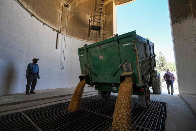 TOPSHOT - Harvested grain from a wheat field is unloaded at a collection centre silo in Teboursouk in the Beja region of northern Tunisia during the harvest season on July 2, 2025. (Photo by FETHI BELAID / AFP)