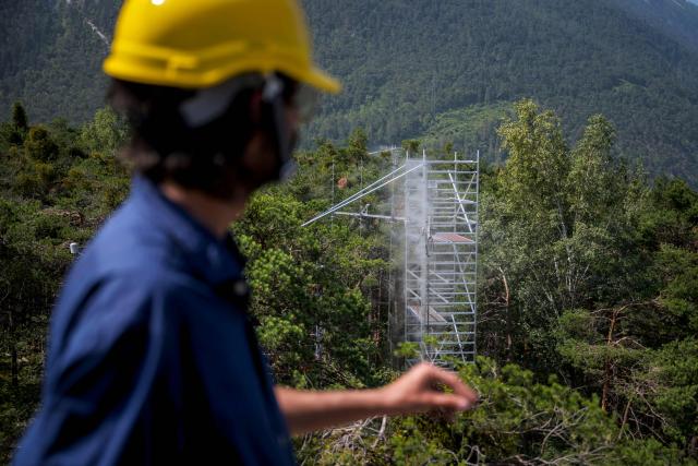 Swiss Federal Institute for Forest, Snow and Landscape Research (WSL) and Swiss Federal Institute of Technology in Lausanne university (EPFL) researcher Giovanni Bortolami looks from a scaffolding towers at Pfynwald forest near Leuk, Switzerland's southern Wallis region, on June 11, 2025. In a Swiss pine forest, the treetops are being sprayed with mist in a bid to discover the effects that drier or wetter air have on their ability to survive. High-pressure nozzles mounted on scaffolding towers spraying vapour over the canopy of some 60 Scots pine trees, standing 15 metres tall. (Photo by Fabrice COFFRINI / AFP)