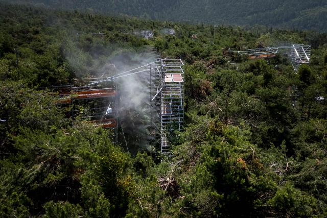 This aerial view shows scaffolding towers spraying vapour during research conducted by the Swiss Federal Institute for Forest, Snow and Landscape Research (WSL) and the Swiss Federal Institute of Technology Lausanne (EPFL) in the Pfynwald forest near Leuk, Switzerland's southern Wallis region, on June 11, 2025. In a Swiss pine forest, the treetops are being sprayed with mist in a bid to discover the effects that drier or wetter air have on their ability to survive. High-pressure nozzles mounted on scaffolding towers spraying vapour over the canopy of some 60 Scots pine trees, standing 15 metres tall. (Photo by Fabrice COFFRINI / AFP)
