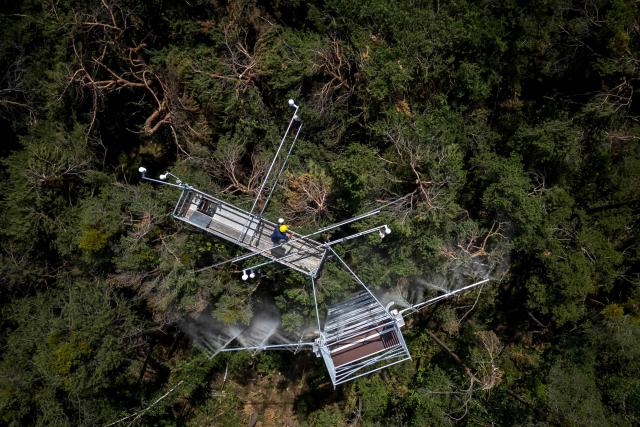 This aerial view shows Swiss Federal Institute for Forest, Snow and Landscape Research (WSL) and Swiss Federal Institute of Technology in Lausanne university (EPFL) researcher Giovanni Bortolami on a scaffolding tower at Pfynwald forest near Leuk, Switzerland's southern Wallis region, on June 11, 2025. In a Swiss pine forest, the treetops are being sprayed with mist in a bid to discover the effects that drier or wetter air have on their ability to survive. High-pressure nozzles mounted on scaffolding towers spraying vapour over the canopy of some 60 Scots pine trees, standing 15 metres tall. (Photo by Fabrice COFFRINI / AFP)
