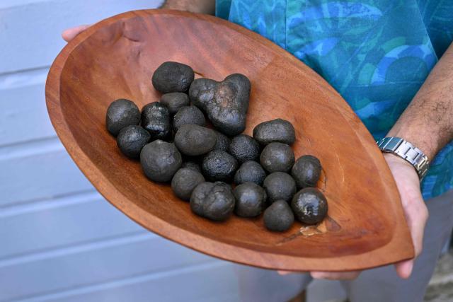 A photo taken on June 12, 2025 on Rarotonga in the Cook Islands shows polymetallic nodules, bulbous lumps of rock that are rich in battery metals such as cobalt and nickel which carpet huge tracts of Pacific Ocean seabed. Deep-sea mining could impact marine life stretching from the tiniest bottom dwellers to apex predators like swordfish and sharks, a major piece of industry-funded research found on July 3, 2025. (Photo by William WEST / AFP)