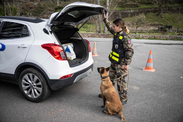(FILES) A French gendarme from the dog-handling team checks a car at the French-Spanish border in Fos, southern France, on March 19, 2025, during a control operation against drug trafficking, illegal immigration and the illegal importation of cigarettes and alcohol. On the A9 motorway, which runs along the Mediterranean coast from Spain, Narbonne customs officers, flashing their lights and blaring their sirens, pull over suspicious vehicles in search of cocaine traffickers who are increasingly crossing the Franco-Spanish border, where more than 65 percent of the drugs supplying France already transit. (Photo by Lionel BONAVENTURE / AFP)