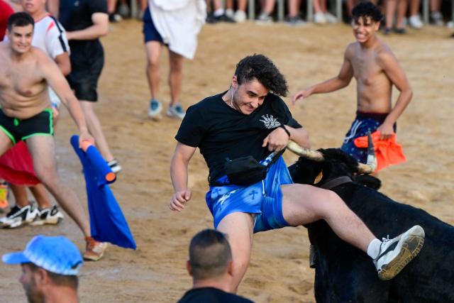 A participant is lifted by a bull during the traditional running of bulls "Bous a la mar" (Bull in the sea) at Denia's harbour near Alicante on July 5, 2025. (Photo by JOSE JORDAN / AFP)