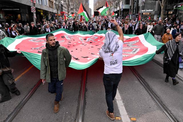 People hold placards and wave flags during a pro-Palestinian march through the streets of Melbourne on July 6, 2025, amid the ongoing conflict between Israel and the Palestinian Hamas militant group. (Photo by William WEST / AFP)