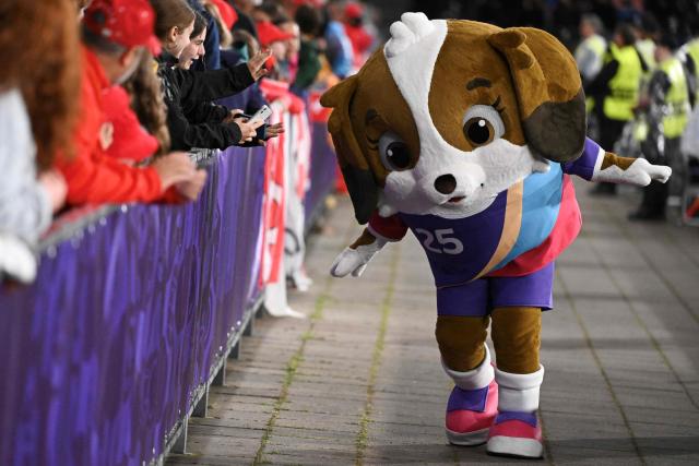 Maddli, the Saint-Bernard puppy Mascot, greets football fans at half-time, during the UEFA Women's Euro 2025 Group A football match between Switzerland and Iceland at the Wankdorf stadium in Bern, on July 6, 2025. (Photo by SEBASTIEN BOZON / AFP)