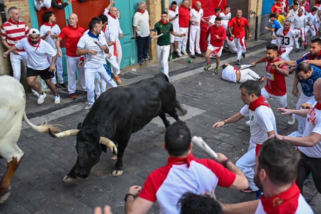 Participants run ahead of bulls during the second running of the bulls of the San Fermin festival in Pamplona, northern Spain, on July 8, 2025. Thousands of people every year attend the week-long festival and its famous "encierros" or bull runs, every day at 8:00 a.m. through the narrow streets of the old town over an 850 meters (yard) course while runners ahead of them try to stay close to the bulls without falling over or being gored. (Photo by ANDER GILLENEA / AFP)
