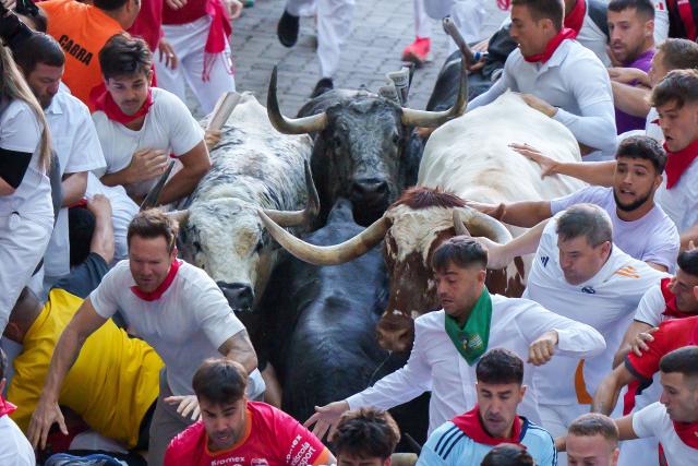 Participants run ahead of bulls during the second running of the bulls of the San Fermin festival in Pamplona, northern Spain, on July 8, 2025. Thousands of people every year attend the week-long festival and its famous "encierros" or bull runs, every day at 8:00 a.m. through the narrow streets of the old town over an 850 meters (yard) course while runners ahead of them try to stay close to the bulls without falling over or being gored. (Photo by CESAR MANSO / AFP)