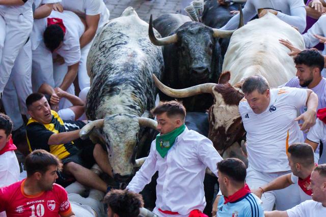 Runners fall over as bulls charge past during the second running of the bulls of the San Fermin festival in Pamplona, northern Spain, on July 8, 2025. Thousands of people every year attend the week-long festival and its famous "encierros" or bull runs, every day at 8:00 a.m. through the narrow streets of the old town over an 850 meters (yard) course while runners ahead of them try to stay close to the bulls without falling over or being gored. (Photo by CESAR MANSO / AFP)