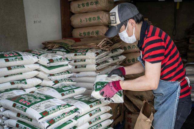 A member of staff works as bags of rice are seen piled up at a rice store in Tokyo on July 9, 2025. While US President Donald Trump imposed a 10 percent tariff on most US trading partners in April, the rate is set to rise for dozens of economies including the European Union and Japan come July 9. (Photo by Yuichi YAMAZAKI / AFP)