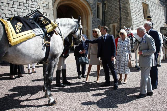 Britain's King Charles and Queen Camilla, France's President Emmanuel Macron and his wife Brigitte Macron look at "Fabuleu de Maucour", a horse offered by President Macron to late Queen Elizabeth II in 2022, on the occasion of her Platinum Jubilee, during a visit to the gardens of Windsor Castle, in Windsor west of London, on July 9, 2025, on the second day of a three-day state visit to Britain. King Charles III and Emmanuel Macron both hailed the importance of UK-France relations as the French president began a three-day formal visit to Britain, the first by an EU head of state since Brexit. (Photo by Gonzalo Fuentes / POOL / AFP)