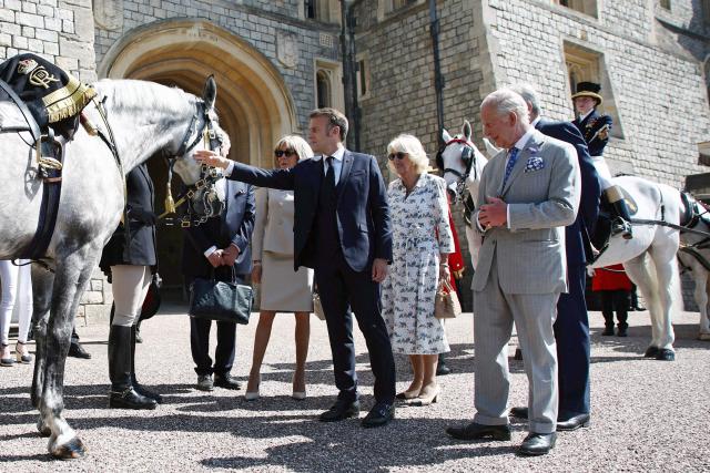 Britain's King Charles and Queen Camilla, France's President Emmanuel Macron and his wife Brigitte Macron look at "Fabuleu de Maucour", a horse offered by President Macron to late Queen Elizabeth II in 2022, on the occasion of her Platinum Jubilee, during a visit to the gardens of Windsor Castle, in Windsor west of London, on July 9, 2025, on the second day of a three-day state visit to Britain. King Charles III and Emmanuel Macron both hailed the importance of UK-France relations as the French president began a three-day formal visit to Britain, the first by an EU head of state since Brexit. (Photo by Gonzalo Fuentes / POOL / AFP)