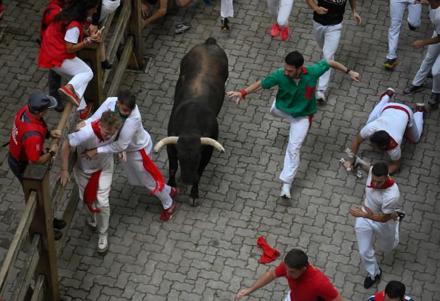 Participants run ahead of Jandilla bulls during the fifth running of the bulls of the San Fermin festival in Pamplona, northern Spain, on July 11, 2025. Thousands of people every year attend the week-long festival and its famous "encierros" or bull runs, every day at 8:00 a.m. through the narrow streets of the old town over an 850 meters (yard) course while runners ahead of them try to stay close to the bulls without falling over or being gored. (Photo by MIGUEL RIOPA / AFP)
