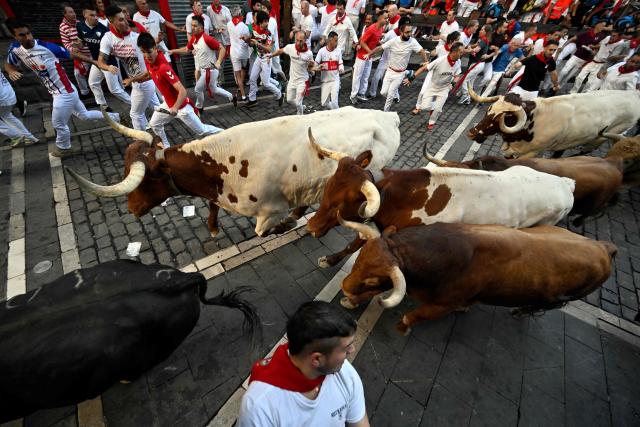 Participants run ahead of Jandilla bulls during the fifth running of the bulls of the San Fermin festival in Pamplona, northern Spain, on July 11, 2025. Thousands of people every year attend the week-long festival and its famous "encierros" or bull runs, every day at 8:00 a.m. through the narrow streets of the old town over an 850 meters (yard) course while runners ahead of them try to stay close to the bulls without falling over or being gored. (Photo by ANDER GILLENEA / AFP)