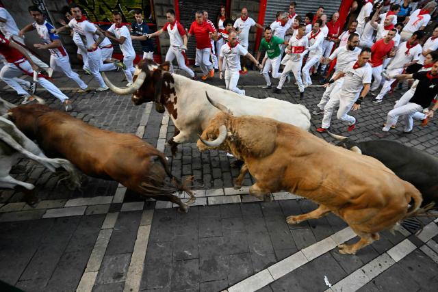 Participants run ahead of Jandilla bulls during the fifth running of the bulls of the San Fermin festival in Pamplona, northern Spain, on July 11, 2025. Thousands of people every year attend the week-long festival and its famous "encierros" or bull runs, every day at 8:00 a.m. through the narrow streets of the old town over an 850 meters (yard) course while runners ahead of them try to stay close to the bulls without falling over or being gored. (Photo by ANDER GILLENEA / AFP)