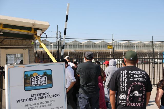 Friends and family members of those detained in yesterdays immigration raid line up at Glass House Farms in Camarillo, California, on July 11, 2025, to retrieve vehicles left behind. A farmworker has died from injuries sustained during an immigration raid on legal cannabis farms near Los Angeles, where clashes erupted between federal agents and protesters. The man was injured on July 10 and died the following day, July 11.
"The family informed me that he was in intensive care, and this morning they confirmed that he had passed away," Roman Pinal, vice-president of United Farm Workers, told AFP at the scene.
The raid occurred July 10 in Carpinteria and Camarillo, two agricultural communities in Ventura County, about an hour northwest of Los Angeles. (Photo by Patrick T. Fallon / AFP)