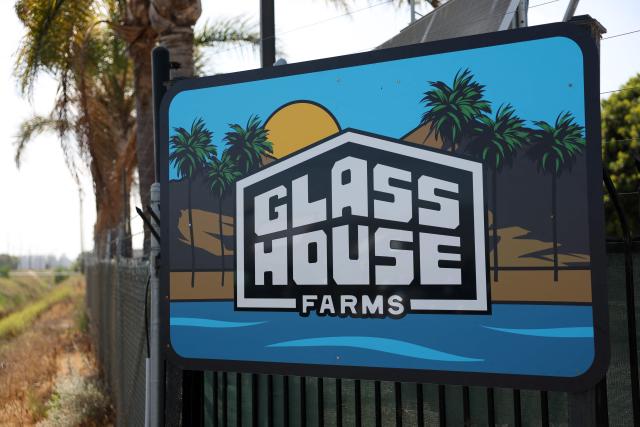 The Glass House Farms logo is seen outside the facility in Camarillo, California, on July 11, 2025, a day after an immigration raid on workers. A farmworker has died from injuries sustained during an immigration raid on legal cannabis farms near Los Angeles, where clashes erupted between federal agents and protesters. The man was injured on July 10 and died the following day, July 11.
"The family informed me that he was in intensive care, and this morning they confirmed that he had passed away," Roman Pinal, vice-president of United Farm Workers, told AFP at the scene.
The raid occurred July 10 in Carpinteria and Camarillo, two agricultural communities in Ventura County, about an hour northwest of Los Angeles. (Photo by Patrick T. Fallon / AFP)