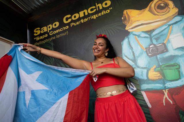 A woman poses with a Puerto Rican flag before the start of the first show of Puerto Rican singer Bad Bunny's 30-date concert residency at the Coliseo de Puerto Rico in San Juan, Puerto Rico, on July 11, 2025. (Photo by Ricardo ARDUENGO / AFP)