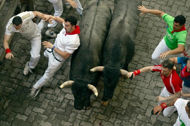 Participants try to dodge the Jose Escolar breed bulls during the sixth running of the bulls of the San Fermin festival in Pamplona, northern Spain, on July 12, 2025. Thousands of people every year attend the week-long festival and its famous "encierros" or bull runs, every day at 8:00 a.m. through the narrow streets of the old town over an 850 meters (yard) course while runners ahead of them try to stay close to the bulls without falling over or being gored. (Photo by ANDER GILLENEA / AFP)