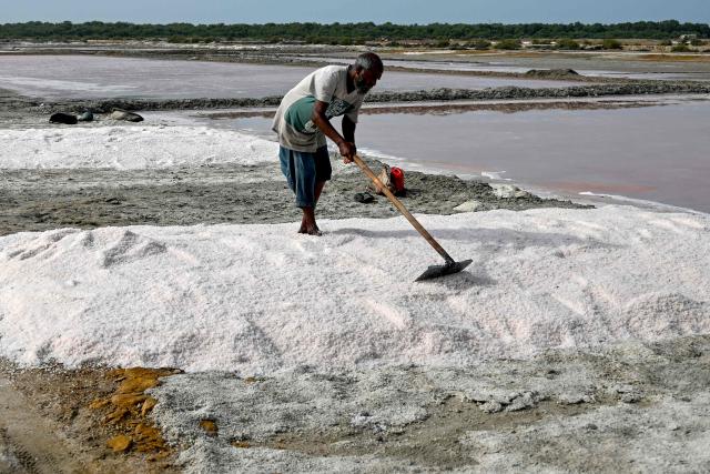 A salt farmer rakes sea salt at an alkali flat, near a beach in Karachi on July 12, 2025. (Photo by Rizwan TABASSUM / AFP)