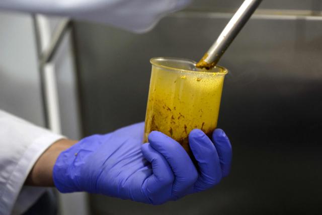 A worker shows cannabis in a beaker at Biocannat, a cannabis processing factory in Bab Berred, southeast of Morocco's rural northern province of Chefchaouen, on July 11, 2025. Morocco passed a law in 2021 allowing the cultivation of medical and industrial-use cannabis in areas of Rif, a mountainous region that has long been a major source of illicit hashish, a stronger derivative of cannabis, smuggled to Europe. (Photo by Abdel Majid BZIOUAT / AFP)