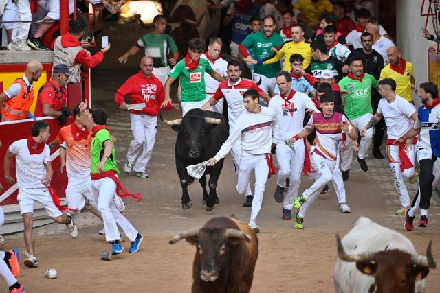 Participants run next bulls from the La Palmosilla ranch at the entrance to the bullring during the seventh running of the bulls of the San Fermin festival in Pamplona, northern Spain, on July 13, 2025. Thousands of people every year attend the week-long festival and its famous "encierros" or bull runs, every day at 8:00 a.m. through the narrow streets of the old town over an 850 meters (yard) course while runners ahead of them try to stay close to the bulls without falling over or being gored. (Photo by ANDER GILLENEA / AFP)