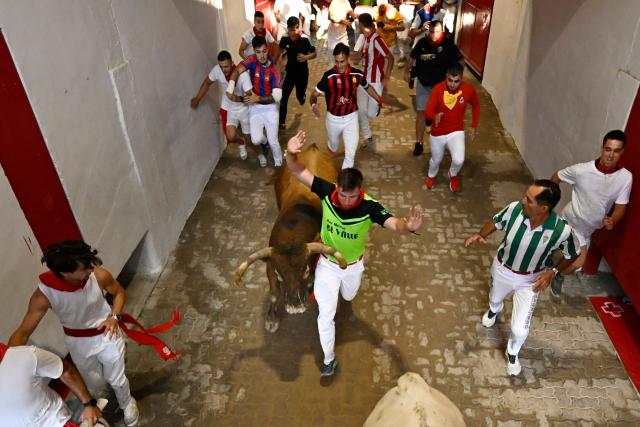 A participant runs beside a bull from the La Palmosilla ranch at the entrance to the bullring during the seventh running of the bulls of the San Fermin festival in Pamplona, northern Spain, on July 13, 2025. Thousands of people every year attend the week-long festival and its famous "encierros" or bull runs, every day at 8:00 a.m. through the narrow streets of the old town over an 850 meters (yard) course while runners ahead of them try to stay close to the bulls without falling over or being gored. (Photo by ANDER GILLENEA / AFP)