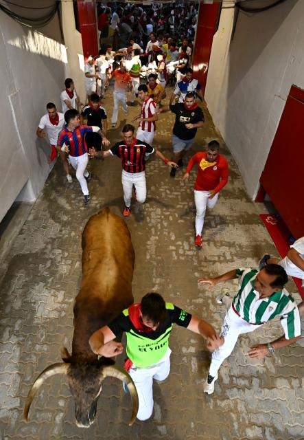 Participants run beside bulls from the La Palmosilla ranch at the entrance to the bullring during the seventh running of the bulls of the San Fermin festival in Pamplona, northern Spain, on July 13, 2025. Thousands of people every year attend the week-long festival and its famous "encierros" or bull runs, every day at 8:00 a.m. through the narrow streets of the old town over an 850 meters (yard) course while runners ahead of them try to stay close to the bulls without falling over or being gored. (Photo by ANDER GILLENEA / AFP)