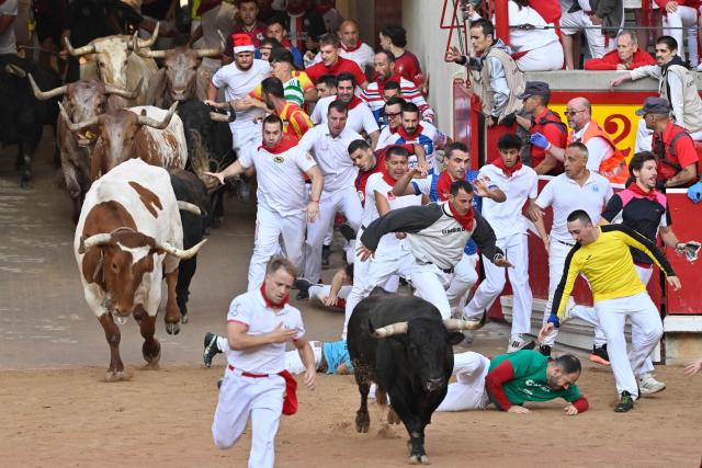 Participants run next bulls from the La Palmosilla ranch at the entrance to the bullring during the seventh running of the bulls of the San Fermin festival in Pamplona, northern Spain, on July 13, 2025. Thousands of people every year attend the week-long festival and its famous "encierros" or bull runs, every day at 8:00 a.m. through the narrow streets of the old town over an 850 meters (yard) course while runners ahead of them try to stay close to the bulls without falling over or being gored. (Photo by ANDER GILLENEA / AFP)
