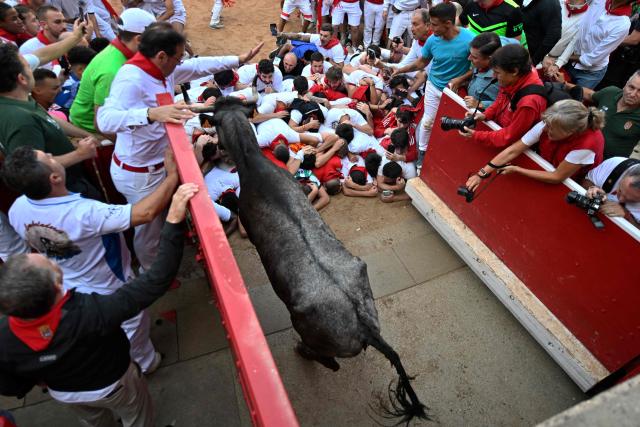 People pile on the ground inside the bullring as a heifer leaps over them after the seventh running of the bulls of the San Fermin festival in Pamplona, northern Spain, on July 13, 2025. Thousands of people every year attend the week-long festival and its famous "encierros" or bull runs, every day at 8:00 a.m. through the narrow streets of the old town over an 850 meters (yard) course while runners ahead of them try to stay close to the bulls without falling over or being gored. (Photo by MIGUEL RIOPA / AFP)