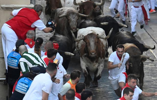 TOPSHOT - Participants run ahead of La Palmosilla breed bulls during the seventh running of the bulls of the San Fermin festival in Pamplona, northern Spain, on July 13, 2025. Thousands of people every year attend the week-long festival and its famous "encierros" or bull runs, every day at 8:00 a.m. through the narrow streets of the old town over an 850 meters (yard) course while runners ahead of them try to stay close to the bulls without falling over or being gored. (Photo by MIGUEL RIOPA / AFP)