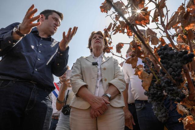 Agriculture minister Annie Genevard (C) visits a vineyard affected by a recent forest fire, in Saint-Laurent-de-la-Cabrerisse, southwestern France on August 14, 2025. (Photo by Ed JONES / AFP)