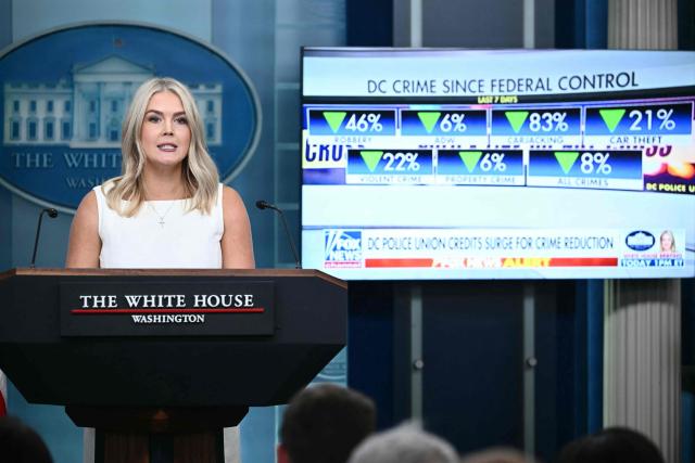 DC crime numbers since federal control are displayed on a screen as White House Press Secretary Karoline Leavitt speaks during the daily briefing in the Brady Briefing Room of the White House in Washington, DC, on August 19, 2025. (Photo by Mandel NGAN / AFP)