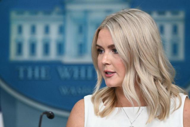 White House Press Secretary Karoline Leavitt speaks during the daily briefing in the Brady Briefing Room of the White House in Washington, DC, on August 19, 2025. (Photo by Mandel NGAN / AFP)