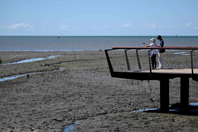 This photo taken on August 17, 2025 shows tourists viewing the shoreline during low tide from a deck along the Esplanade Walk in Cairns. (Photo by Saeed KHAN / AFP)