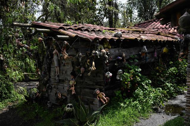 Old and deteriorated dolls hang on a wall at Isla de las Munecas (Island of the Dolls) in Xochimilco, Mexico on September 10, 2025. Naked or tattered plastic bodies hang from ancient trees. Severed heads, glass eyes staring at visitors. The macabre Island of the Dolls in Mexico City frightens many, but fascinated Lady Gaga and Tim Burton.. (Photo by Yuri CORTEZ / AFP)